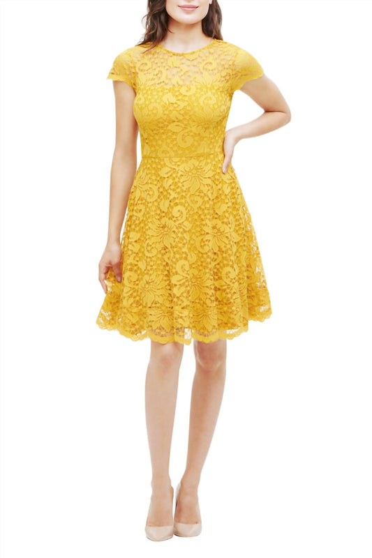 Kensie - Lace Fit And Flare Dress