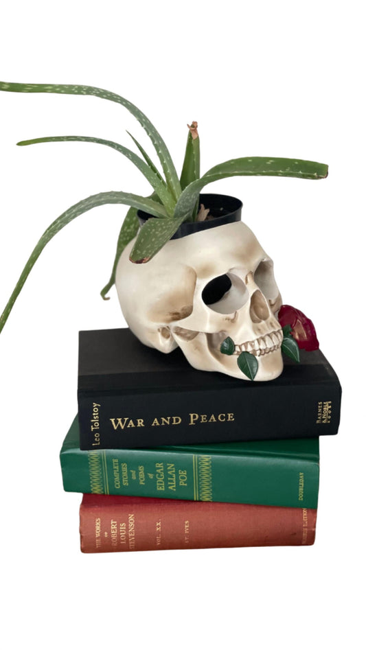 Tennessee & Co. - Resin Skull with Rose Organizer/Planter