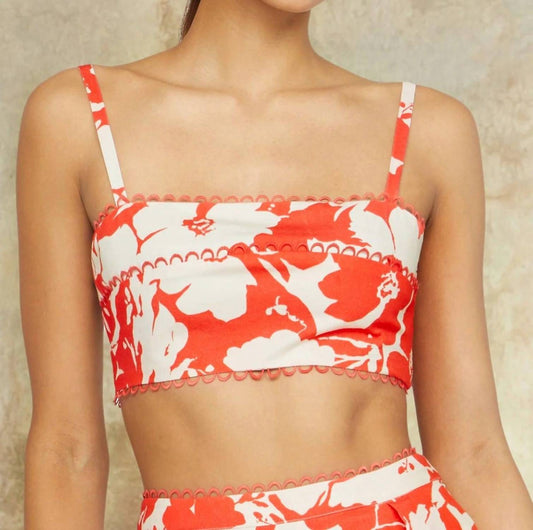 Amur - Alina Bra Top