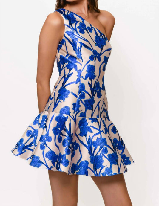 Hutch - Silas Mini Dress