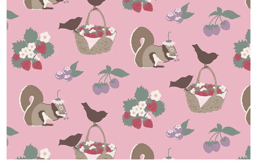 Kickee - Girl's Short Sleeve Playtime Outfit Set