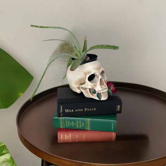 Tennessee & Co. - Resin Skull with Rose Organizer/Planter