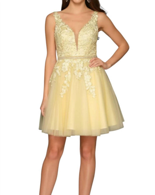 Dave & Johnny - Embroidered Tulle Dress