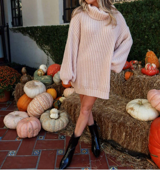 Promesa - Cozy Intentions Sweater Mini Dress