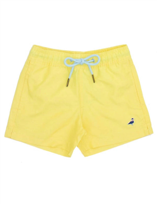 Properly Tied - Men's Swim Trunks