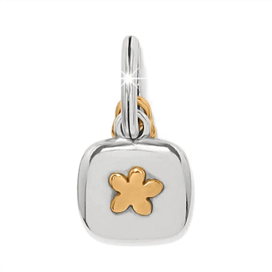 Brighton - SISTER CHARM