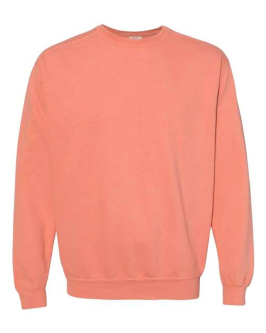 Comfort Colors - Vintage Stitched Bearkat Crewneck Sweatshirt