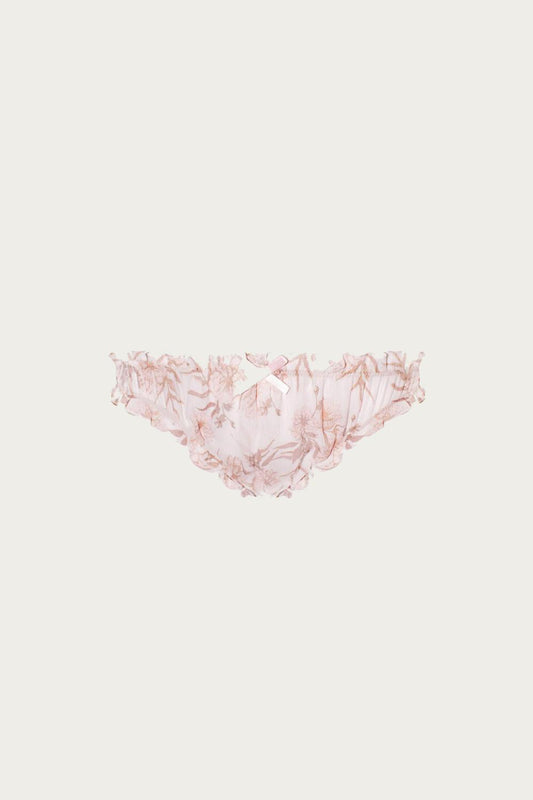 GARDENIA BRIEF