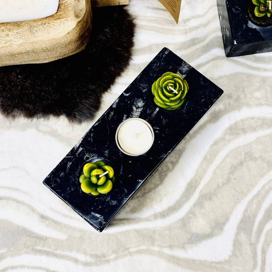 Rock Paradise - ORTHOCERAS CANDLE HOLDER