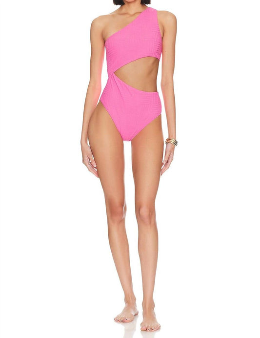 Beach Riot - Celine One Piece Swimsuit