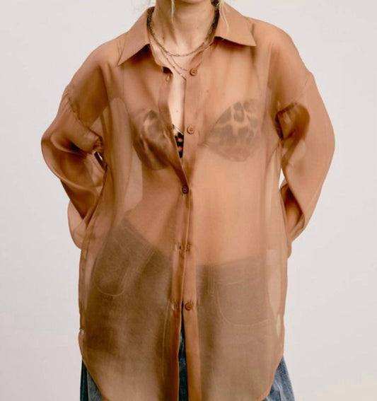 Mable - Dress To Impress Sheer Button Down Top