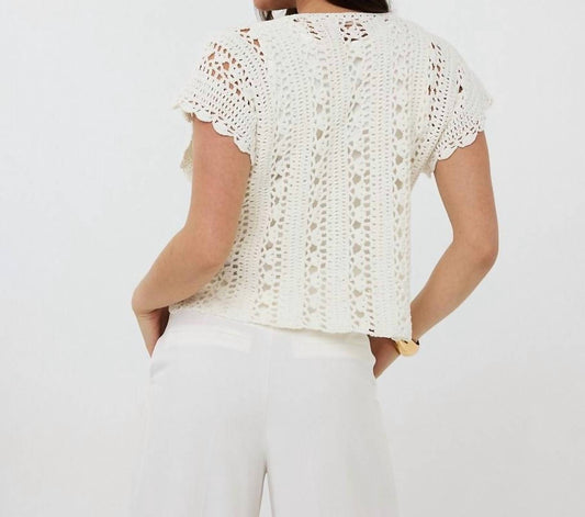 Esqualo - Cropped Knit Top