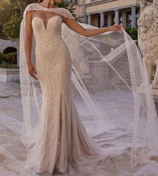 Casablanca - Dorothy Cape