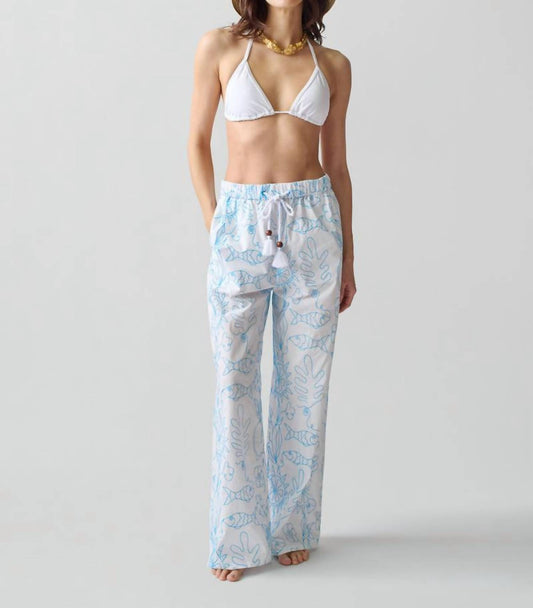 Lingua Franca - Petra Pant