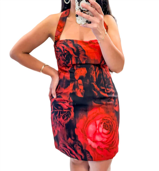 Seven Wonders - Love Thoughts Rose Print Dress