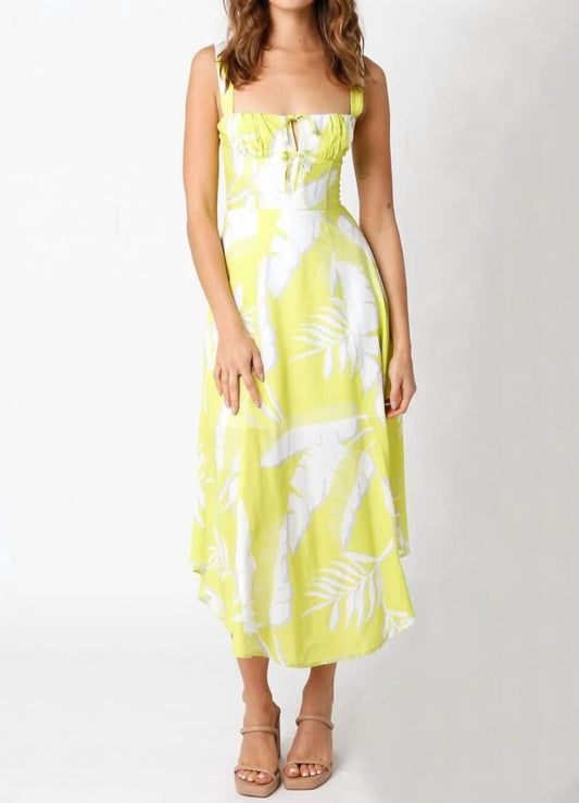 Olivaceous - Lindsey Midi Dress