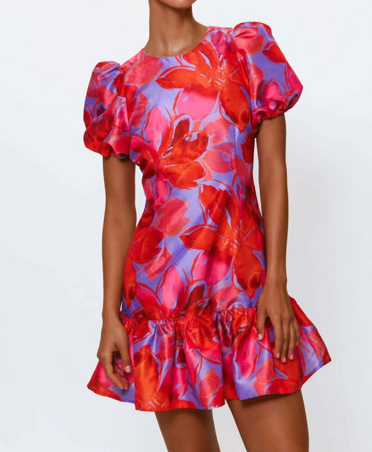 Hutch - Rayan Mini Dress