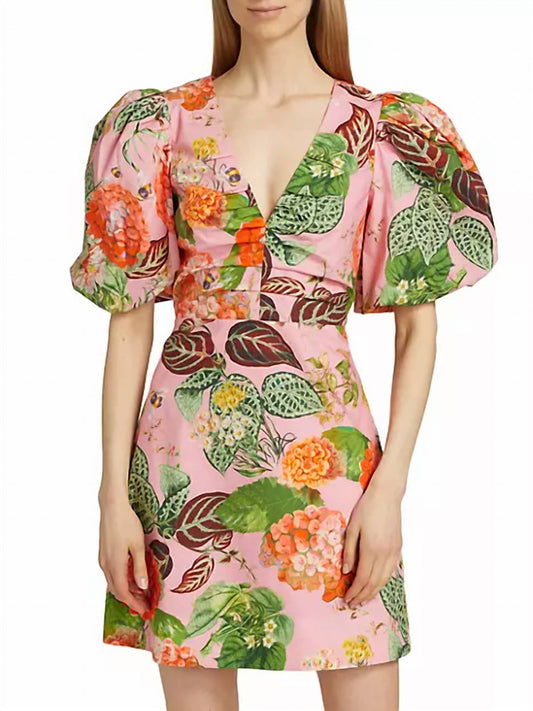 Cara Cara - Aliza Dress Avery Floral