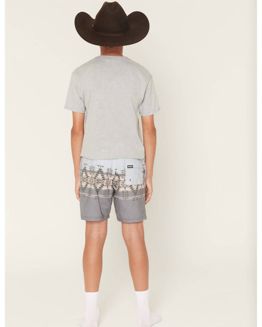 Hooey - Boy's Stripe Volley Boardshorts