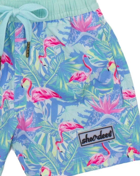 Properly Tied - Boy's Shordees Swim Trunk