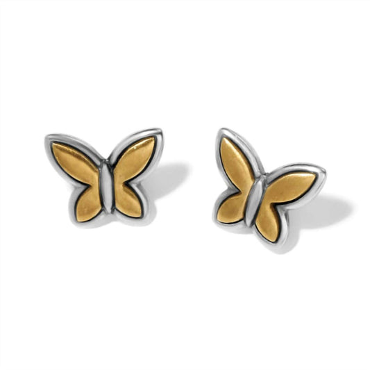 Brighton - Women's Goldie Wings Mini Post Earrings