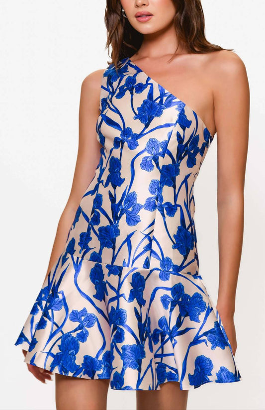 Hutch - One Shoulder Mini Dress