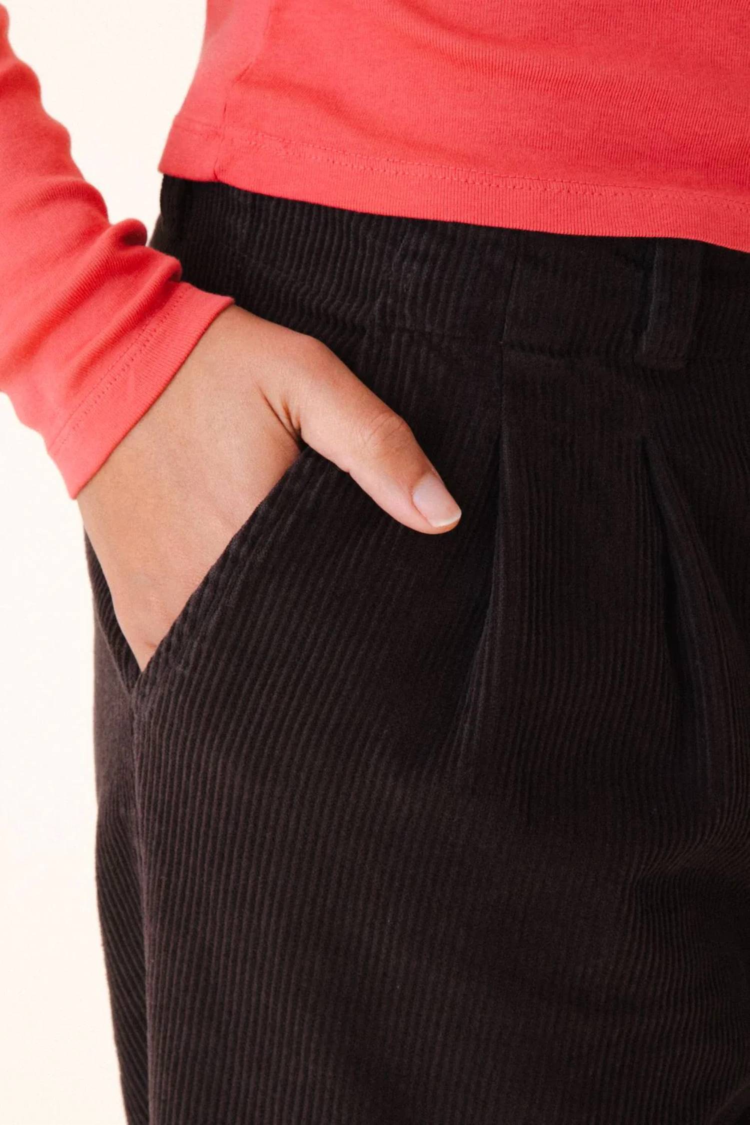 Prairie Underground - Double Pleat Corduroy Pant