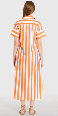 Livro - Gibbons Dress