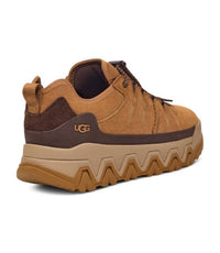 UGG Men's Captrail Low Cut Sneakers in chestnut - men's sneaker - detail view