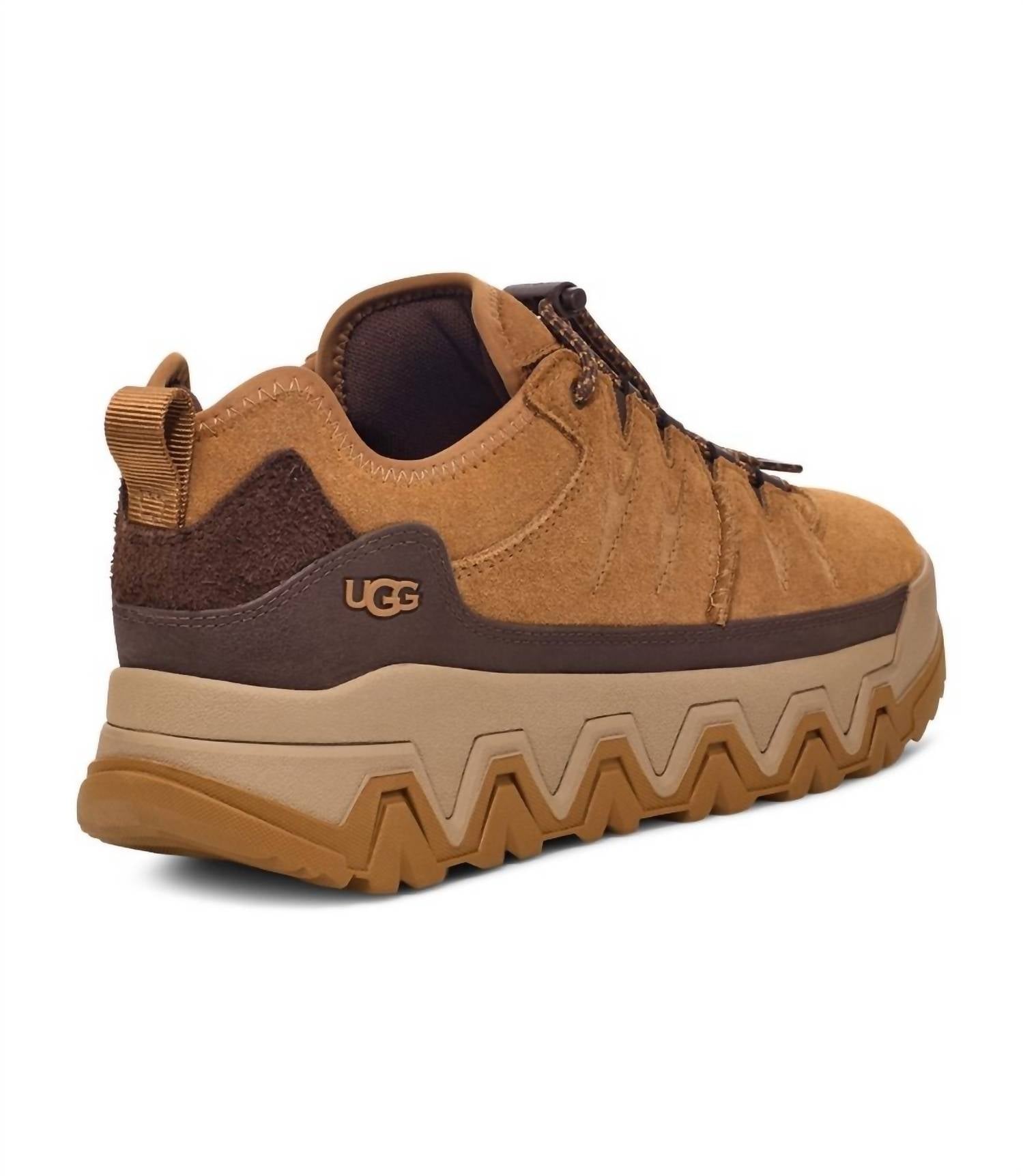 UGG Men's Captrail Low Cut Sneakers in chestnut - men's sneaker - detail view