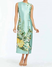 Mestiza New York - Serena Midi Dress