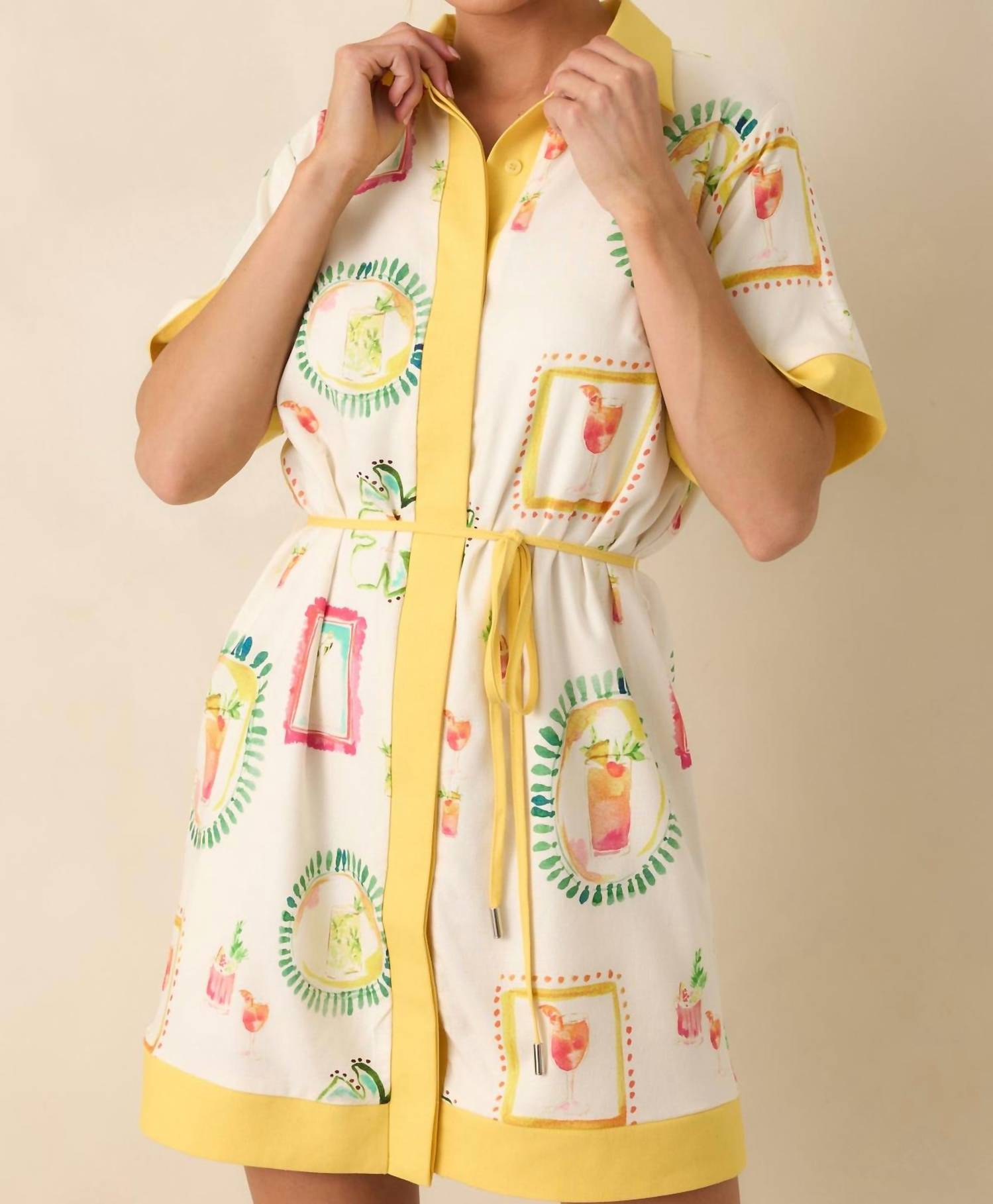 Strut & Bolt - Happy Hour Shirt Dress