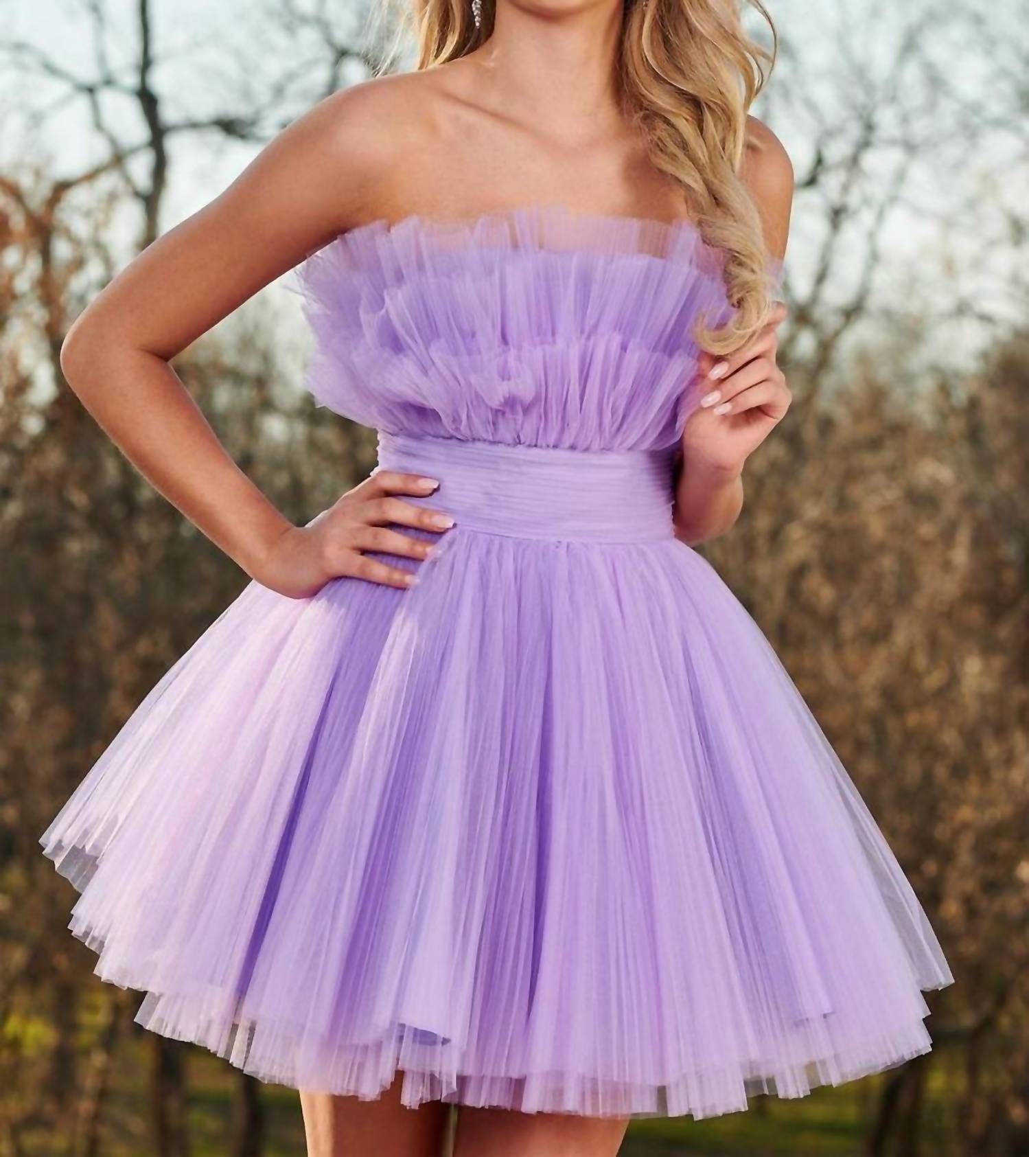 Rachel Allan - Fit And Flared Tulle Dress