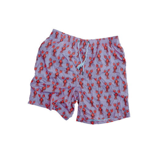 Heat Swimwear - Men's Swim Trunks