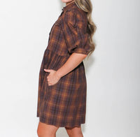 Ivy Jane - Ombre Plaid Snap Dress