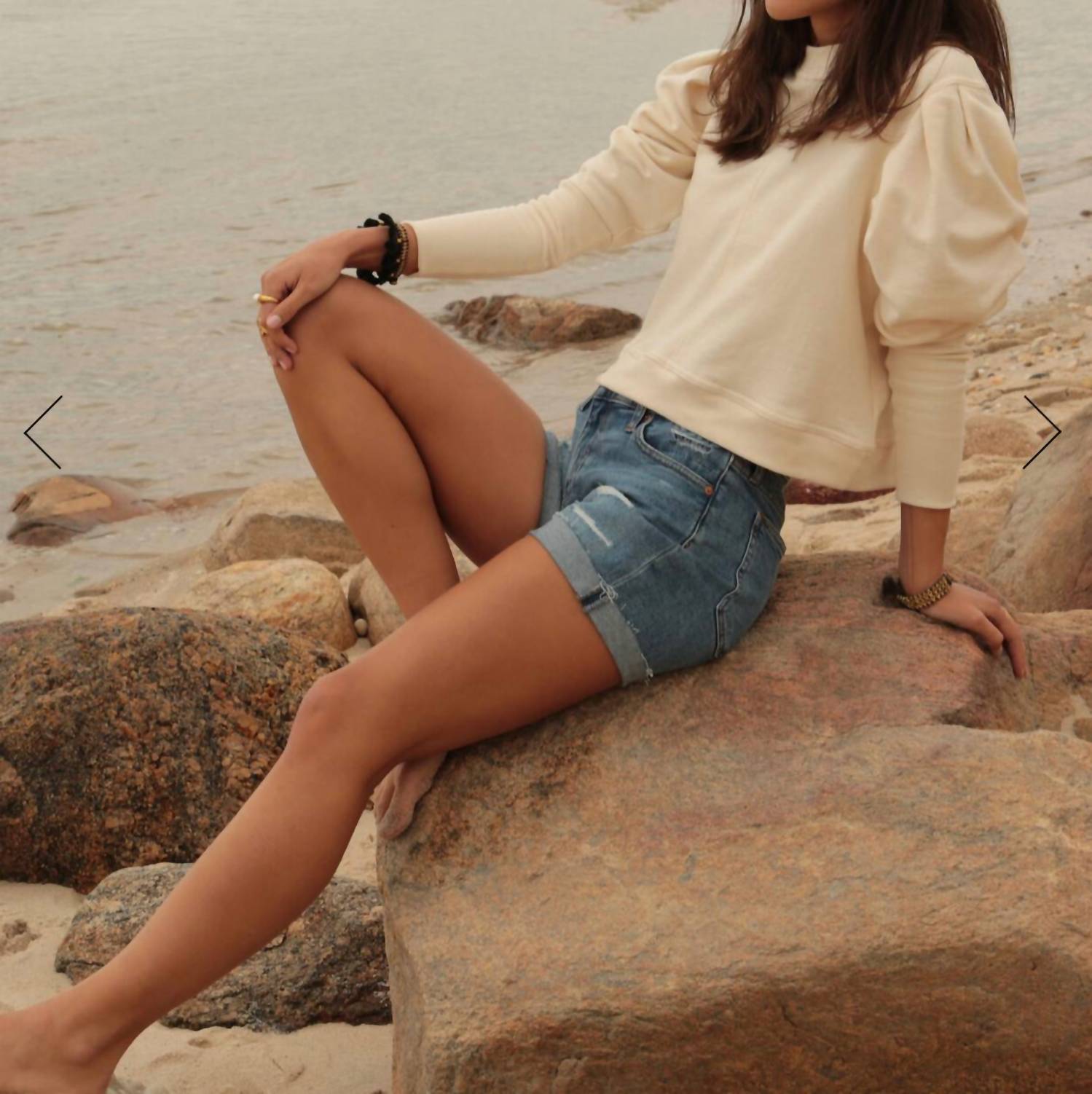 The Waight - Pleat Sleeve Crewneck Top