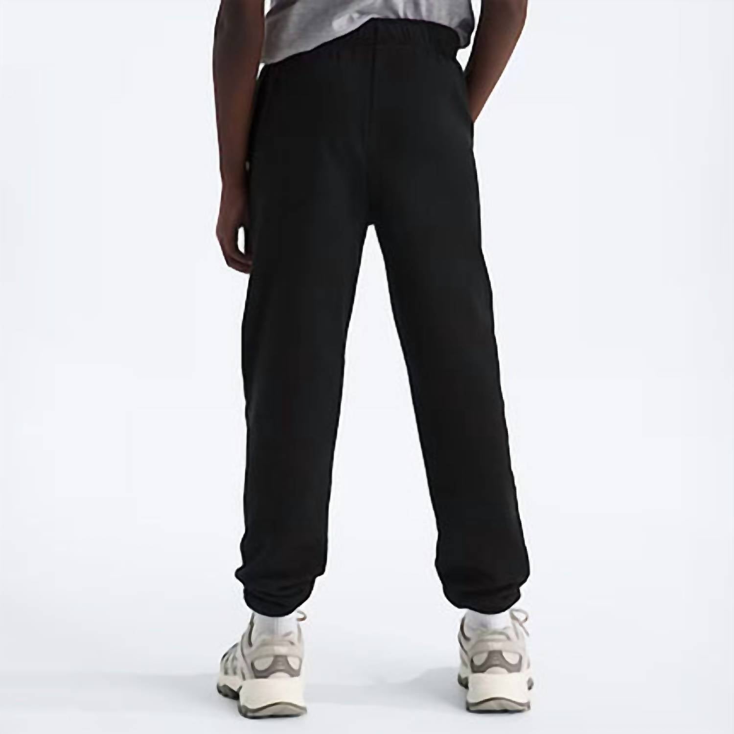 The North Face - Kid's Teen Evolution Simple Dome Straight Pants