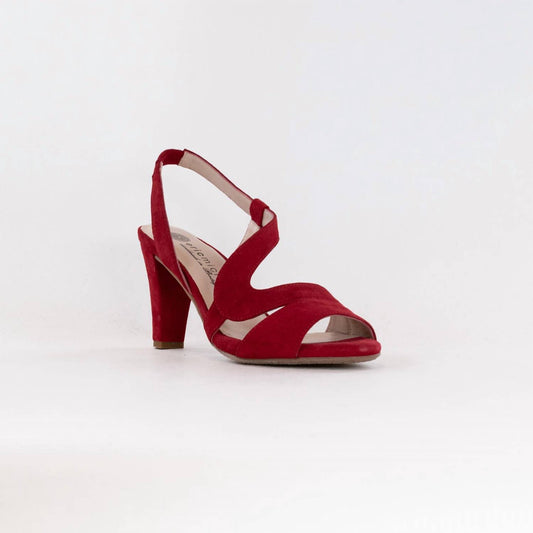 Eric Michael - Women's Scarlett Sandal