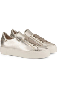 AGL Women's Edda Sandy Milk Sneaker in gold - women's sneaker