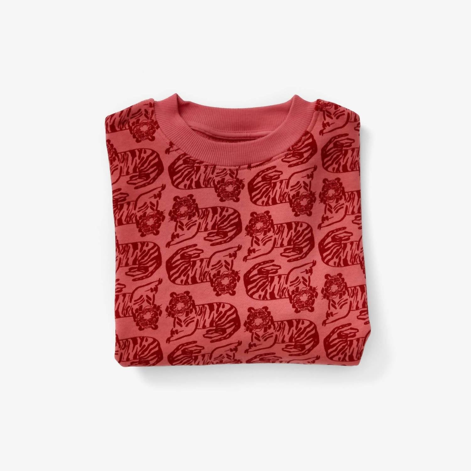 Lewis - Boy's Print Organic Cotton Sweatshirt