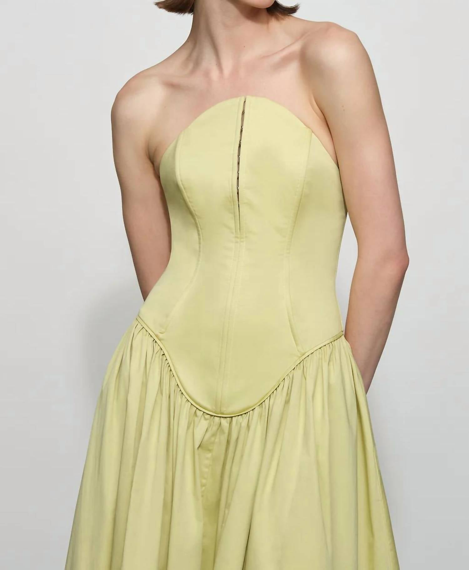 Et Ochs - Camille Strapless Midi Dress