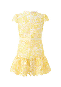 Marlo - Cassandra Embroidered Mini Dress