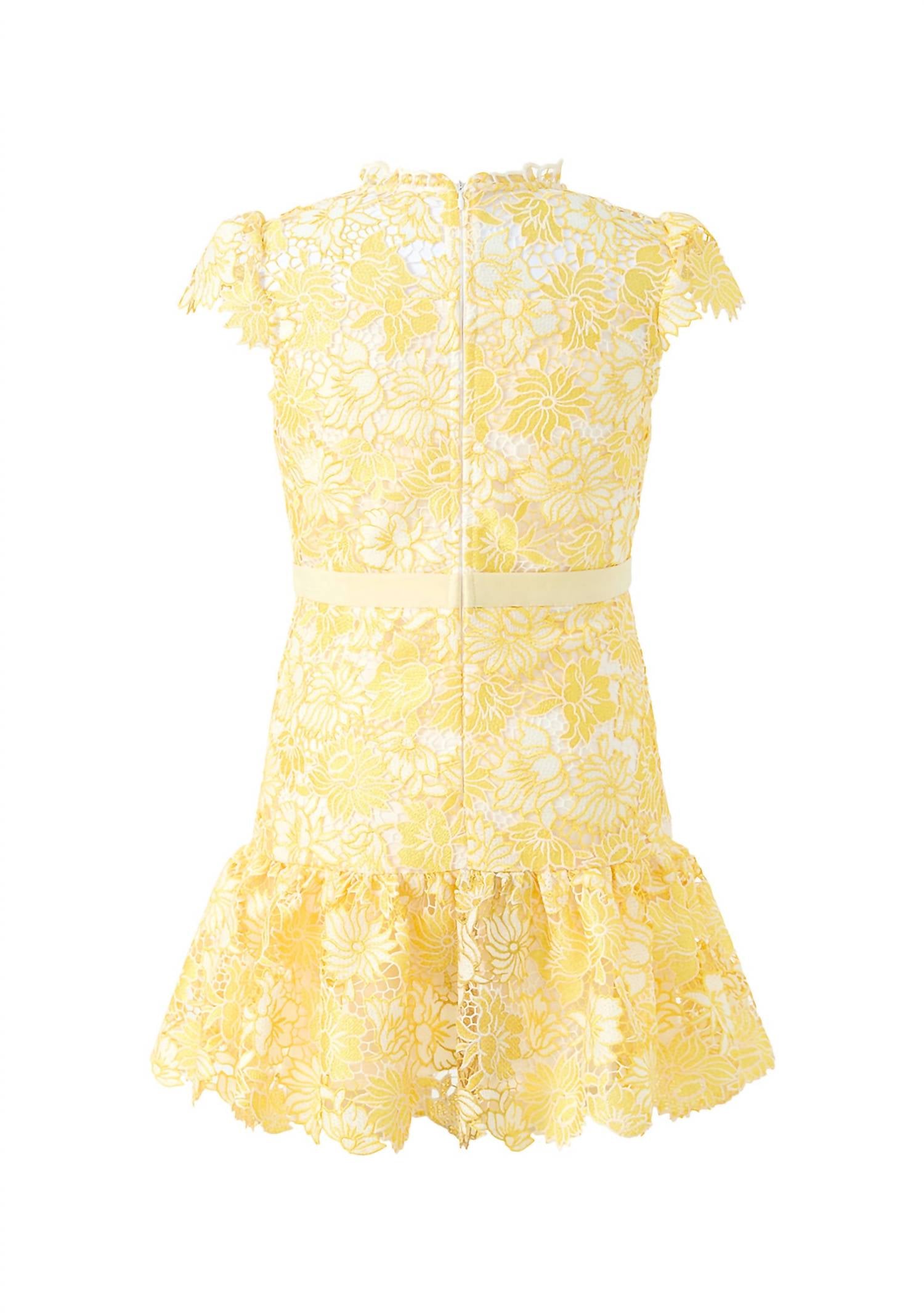 Marlo - Cassandra Embroidered Mini Dress
