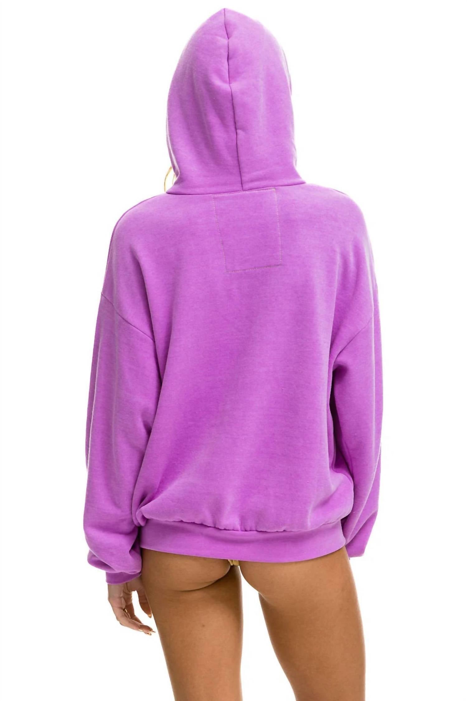 Aviator Nation - Logo Pullover Relaxed Hoodie