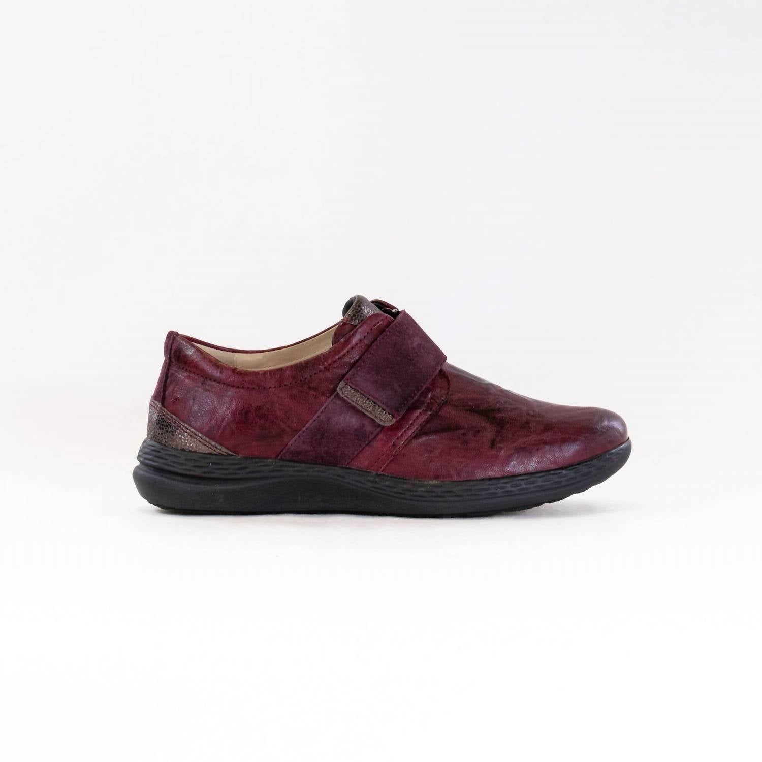 Fidelio Women's Masha Shoes in wine - women's sneaker