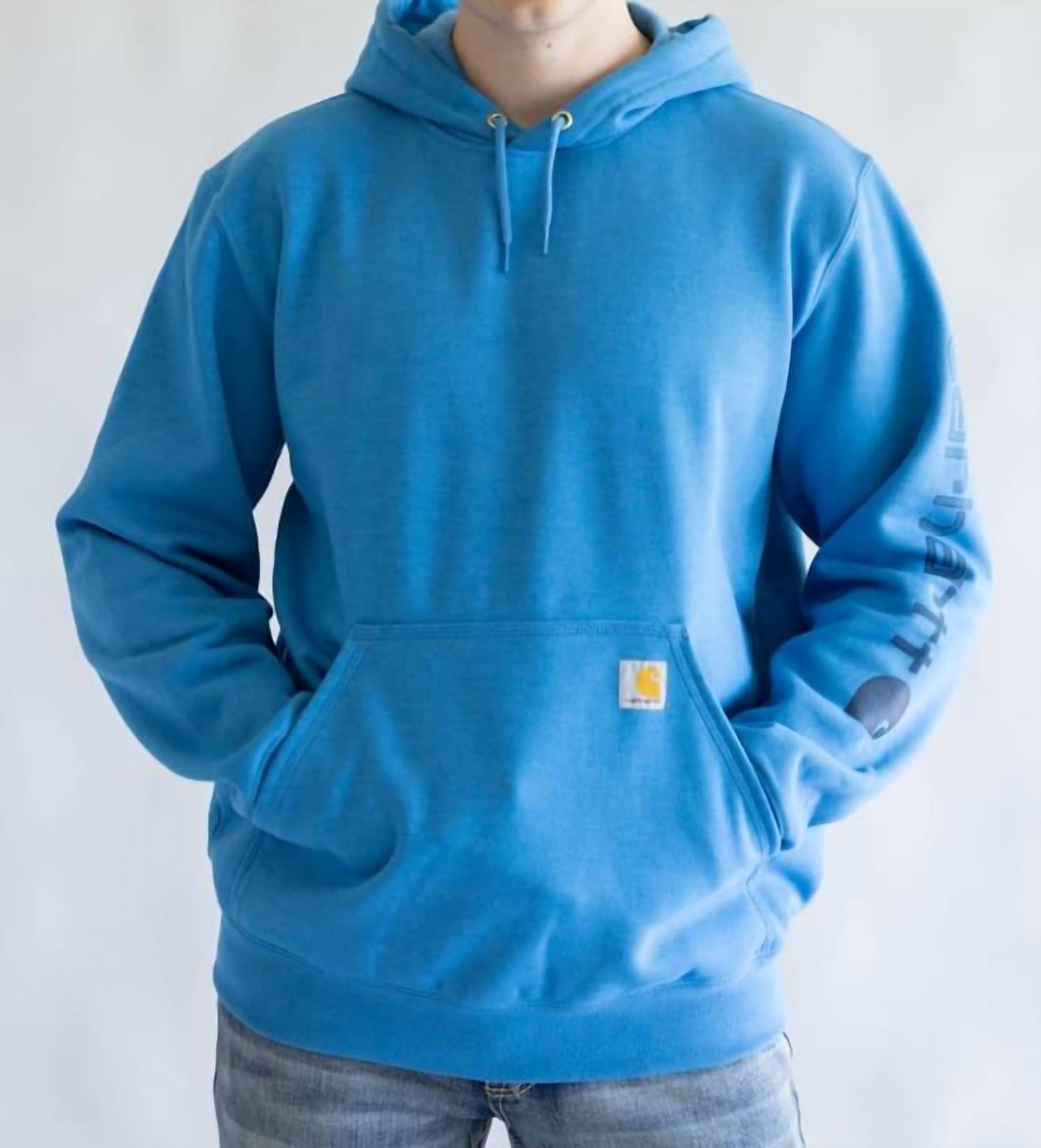 carhartt Men's Loose Fit Graphic Hoodie in blue - men's shirt