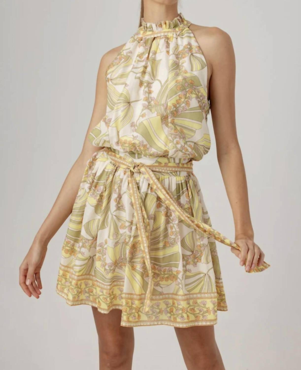 sundays Printed Lizette Mini Dress in vintage botanic - women's dress