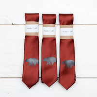 Cinder + Salt - Bear Skinny Tie