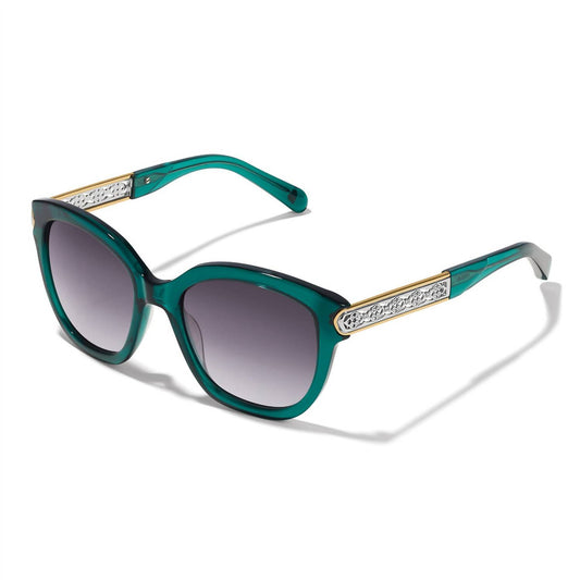 Brighton - Intrigue Sunglasses