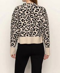 Sanctuary - Soft Touch Popover Sweater